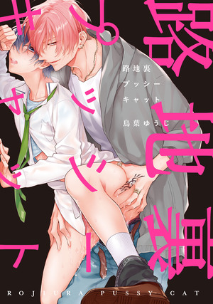 【レビュー】路地裏プッシーキャット｜アウトロー絶倫男×流され受けの危険で甘い溺愛BL