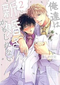 俺達は新婚さんかもしれない(2)