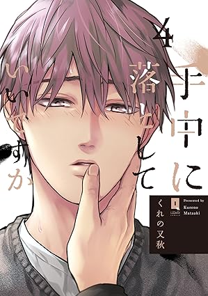【レビュー】手中に落としていいですか 4｜大本命をついに手中に！クライマックスが甘すぎる大人の恋
