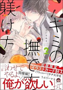 キミの撫で方躾け方 2